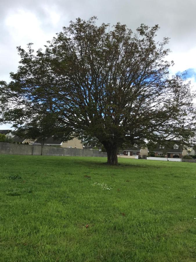 Home From Home Tralee Exterior foto